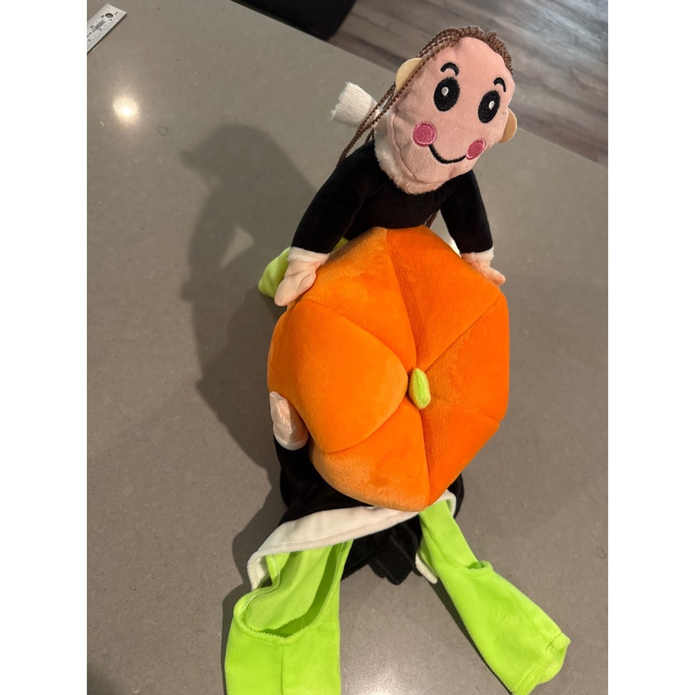 Pumpkin and witch small dog Halloween‎ costume